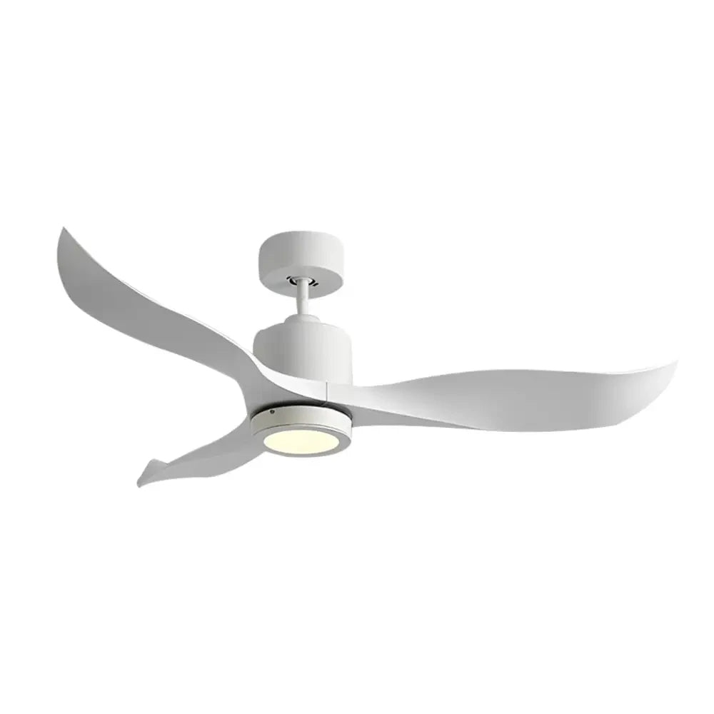 3 Blades LED Nordic Ceiling Fan with Remote and Light - Lighting > lights Fans