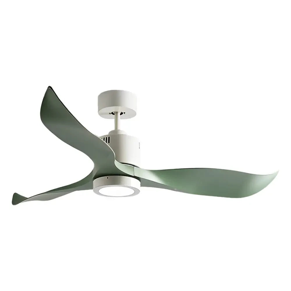 3 Blades LED Nordic Ceiling Fan with Remote and Light - Lighting > lights Fans