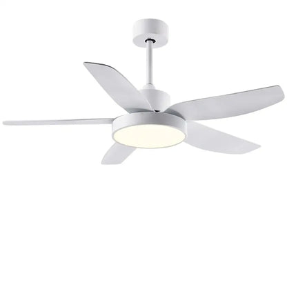 46 Inch LED Ceiling Fan with Remote and Timer - Lighting > lights Fans