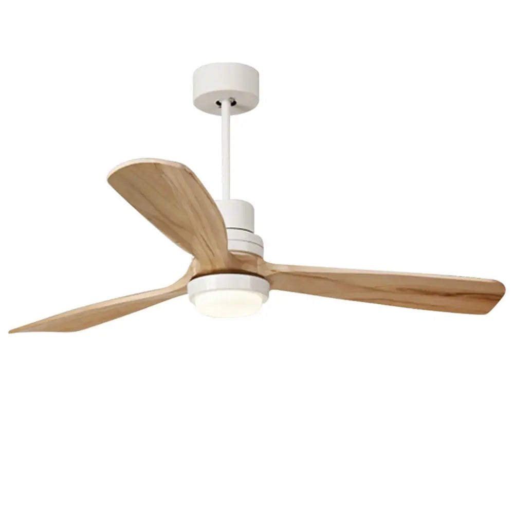 Intelligent Frequency Conversion LED Ceiling Fan Light - Lighting > lights Fans